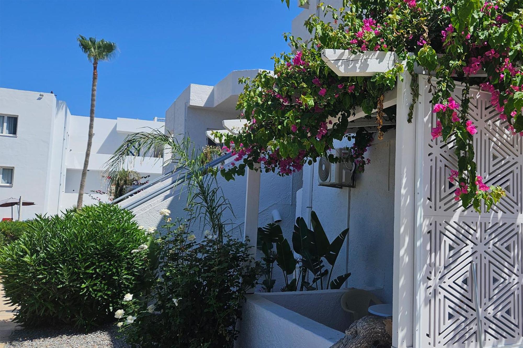 Aegean View Hotel - Adults Only Sfáka Extérieur photo